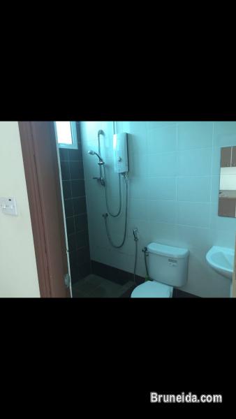 Studio flat for rent $480 - image 2