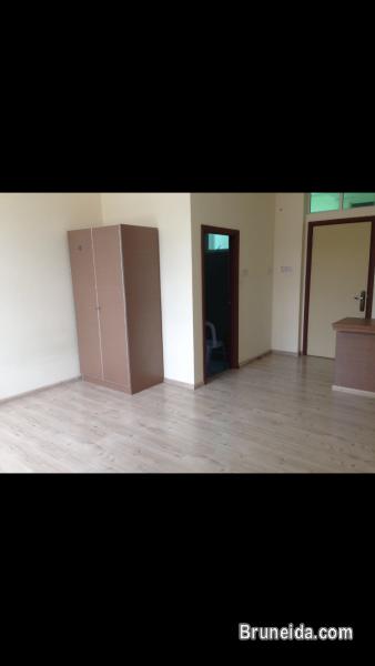 Studio flat for rent $480 - image 1