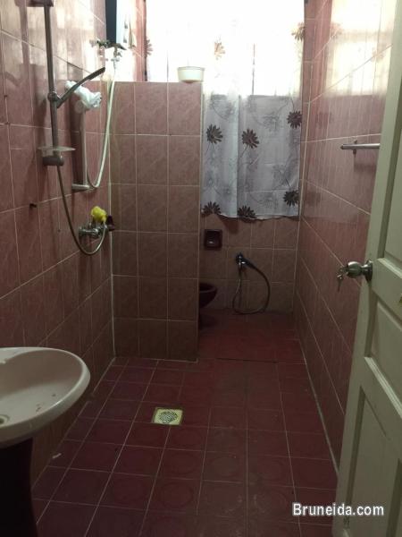 HOUSE FOR RENT - image 5