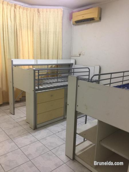 HOUSE FOR RENT - image 7