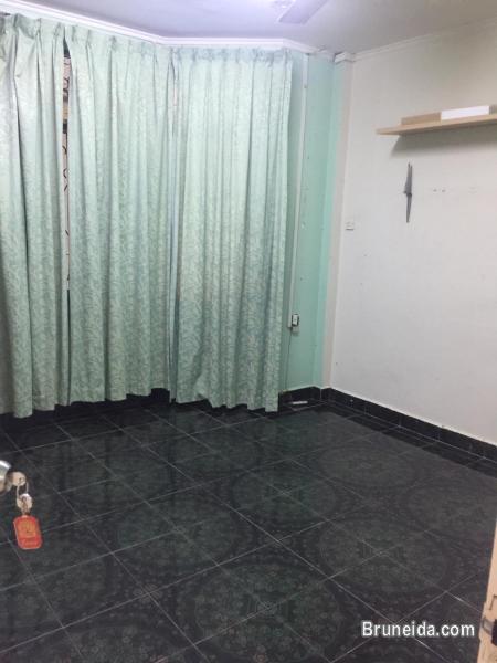 HOUSE FOR RENT - image 8