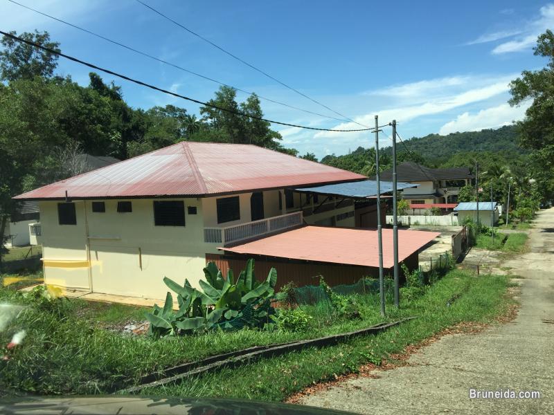 Double storey Store cum office house for rent at Kapok - image 1