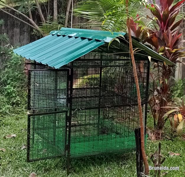 Cage for sale - image 1
