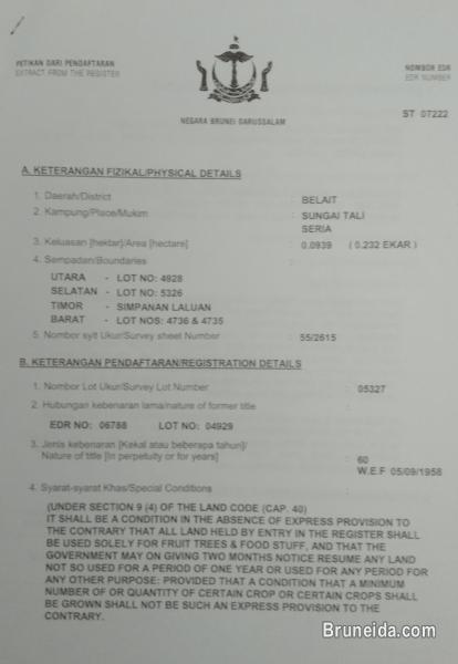 Land For Sale - image 1