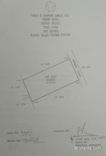 Land For Sale - image 2