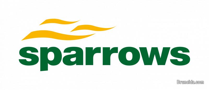 Mechanic Supervisor - image 1