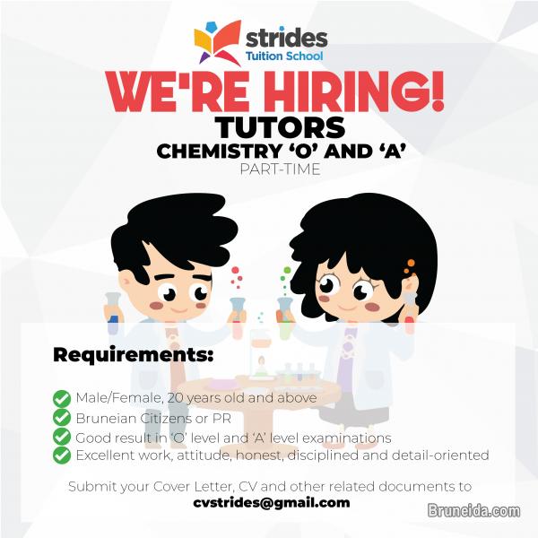 Chemistry Tutor - image 1