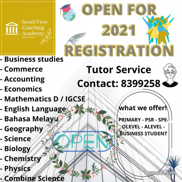 TUITION CLASS ~ TUTOR SERVICE - image 1