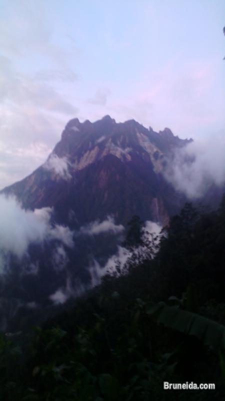 Ground Transportation & Full Tour Packages Sabah 4D3N - image 2