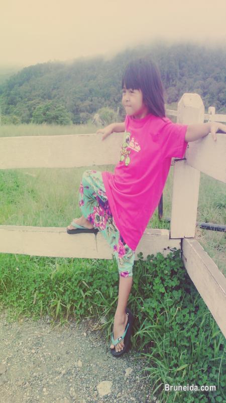 Ground Transportation & Full Tour Packages Sabah 4D3N - image 3