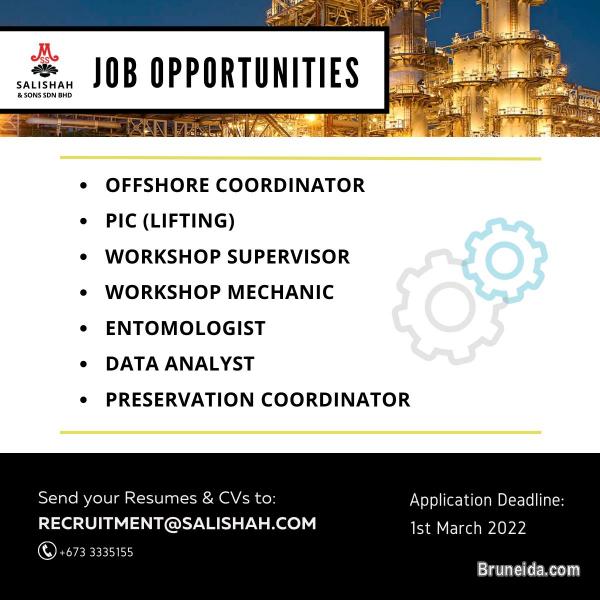 Job vacancies - image 1