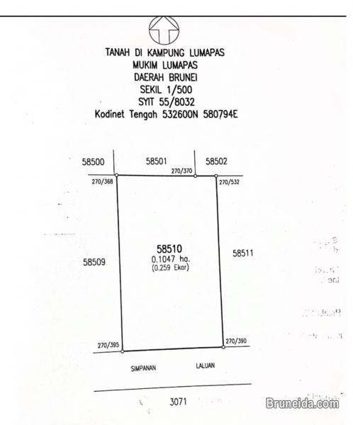 Lumapas Land for Sale - image 1