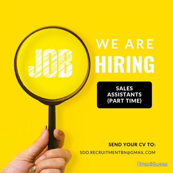 Picture of Sales Assistants (2) - PART TIME