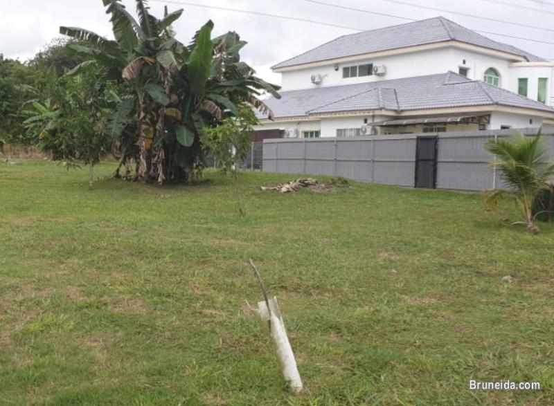 Kg Kapok Serasa In perpetuity - image 2