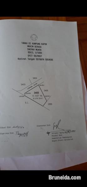 Kg Kapok Serasa In perpetuity - image 3