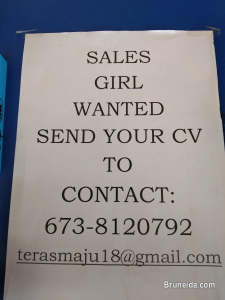 Syarikat Teras Maju , Sungai Liang Lumut - image 1