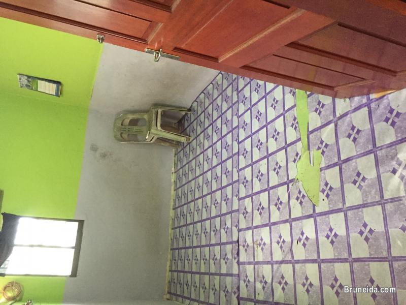 HOUSE FOR RENT - image 3