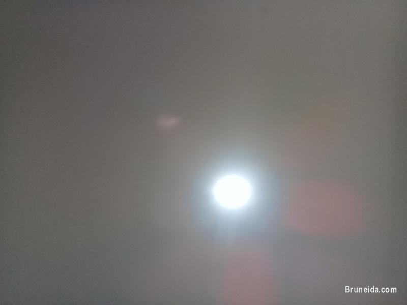 Hiring house assistant - image 1