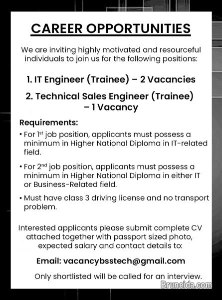 IT Engineer & Technical Sales Engineer Vacancies - image 1