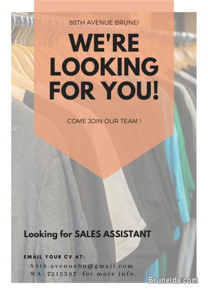 Hiring Sales Assistant - image 1