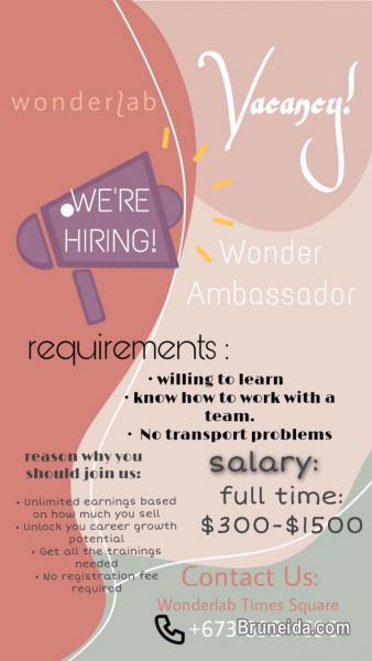 Sales Assistant/Sales Executive - image 1