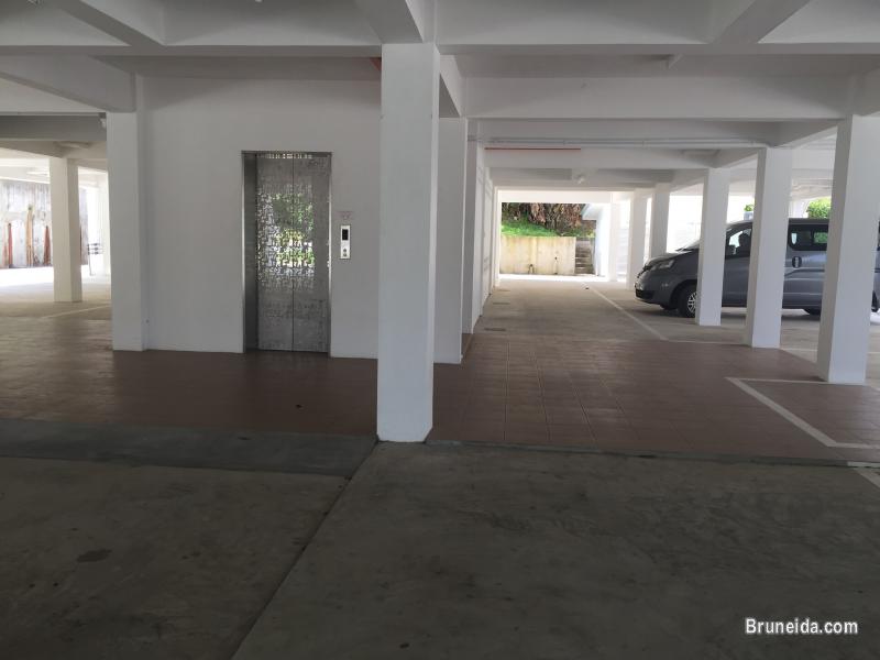 New Apartment at Jalan Babu Raja for Rent - image 4