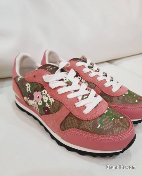 Authentic Coach Sneaker For Sale - image 1