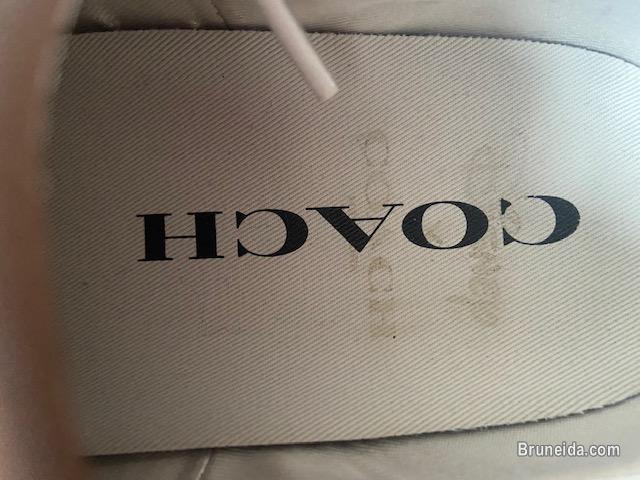 Authentic Coach Sneaker For Sale - image 4