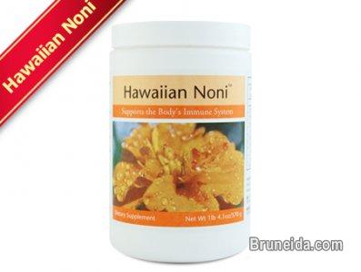 Unicity Hawaiian Noni Powder - Complément Alimentaire 30 Sachets, Immunité & Digestion