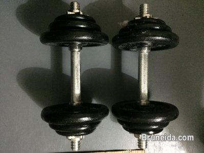 Picture of Dumbbell for sale