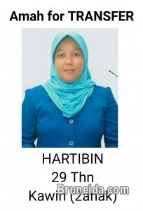 Domestic helper - image 1