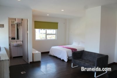 APARTMENT FOR RENT AT KG MADEWA - FURNISHED - image 1