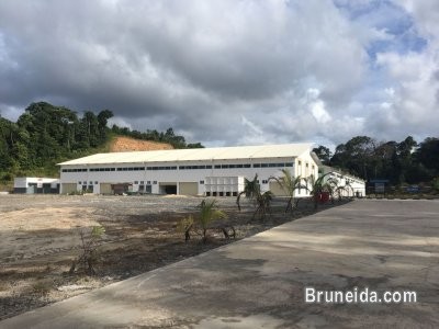 Light Industrial For Rent - image 3