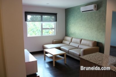 APARTMENT FOR RENT AT KG MADEWA - FURNISHED - image 4