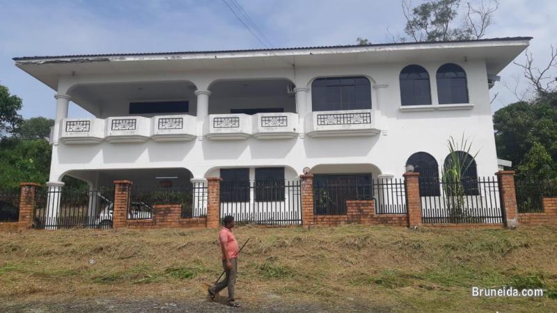 House for rent - image 1