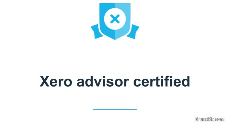 Xero and Quickbooks Accounting Expert in Brunei Darussalam - image 3