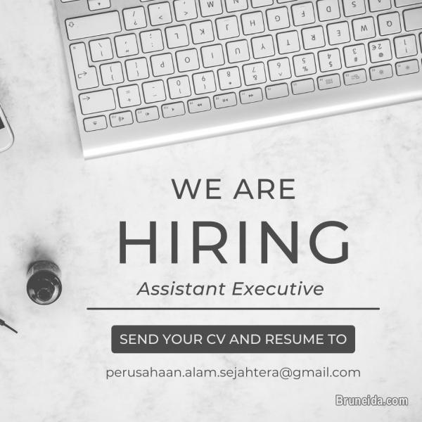 Assistant Executive - image 1