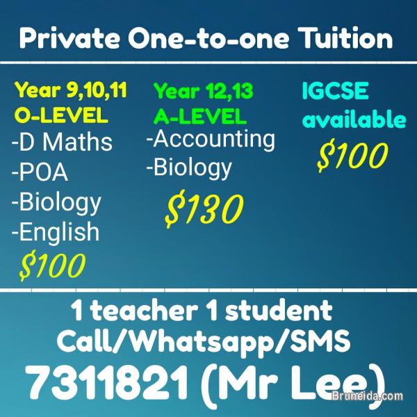 Giving One on one Tuition (1 teacher 1 student) - image 1