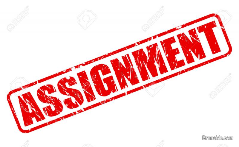 Assignment help or guidance - image 3