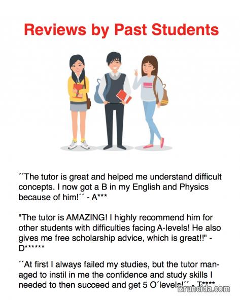 Highly Experienced Private O level and A level Tutor - image 2