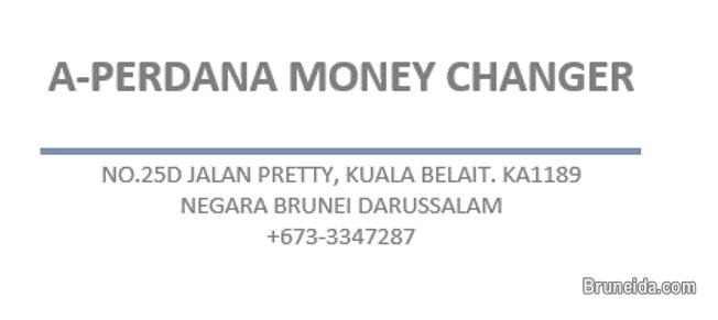 Teller in Money Changer - image 1