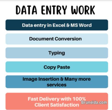 Freelance Data Entry Clerk - image 1
