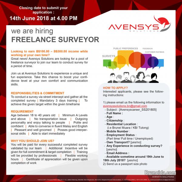 Freelance Surveyor - image 1