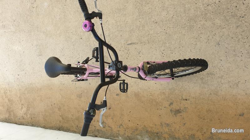 Raleigh Kids Bicycle (Used) - image 3