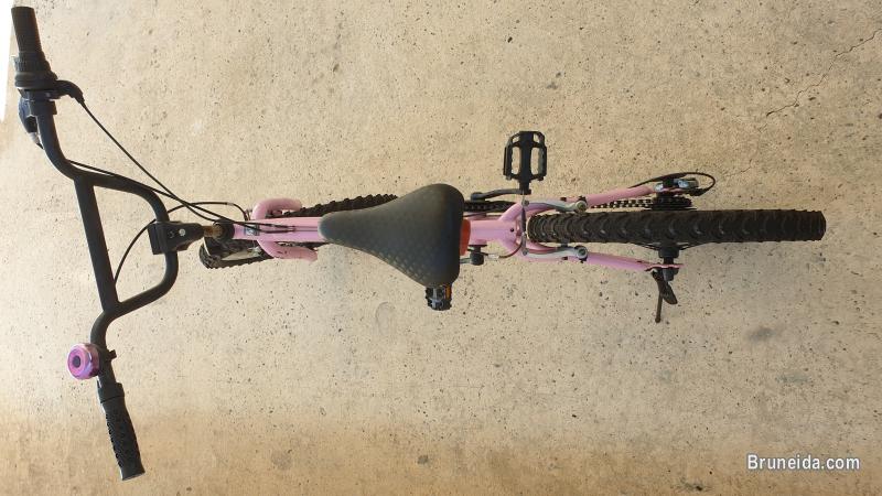 Raleigh Kids Bicycle (Used) - image 4