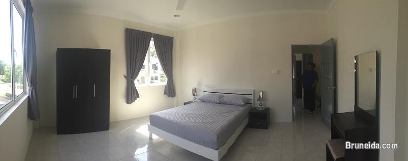 Rimba new 2 Units left for Rent - image 4