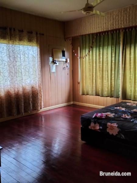 BIG HOUSE 3BED/2T GOOD LOCATION - image 2