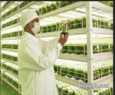 Agriculture Food Laboratory Set up consultant - image 5