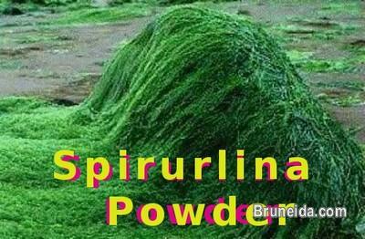 Microbiology Laboratory Set ups - image 3