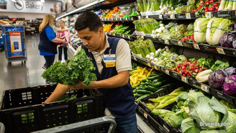 International Staffing Solution-Brunei - image 2